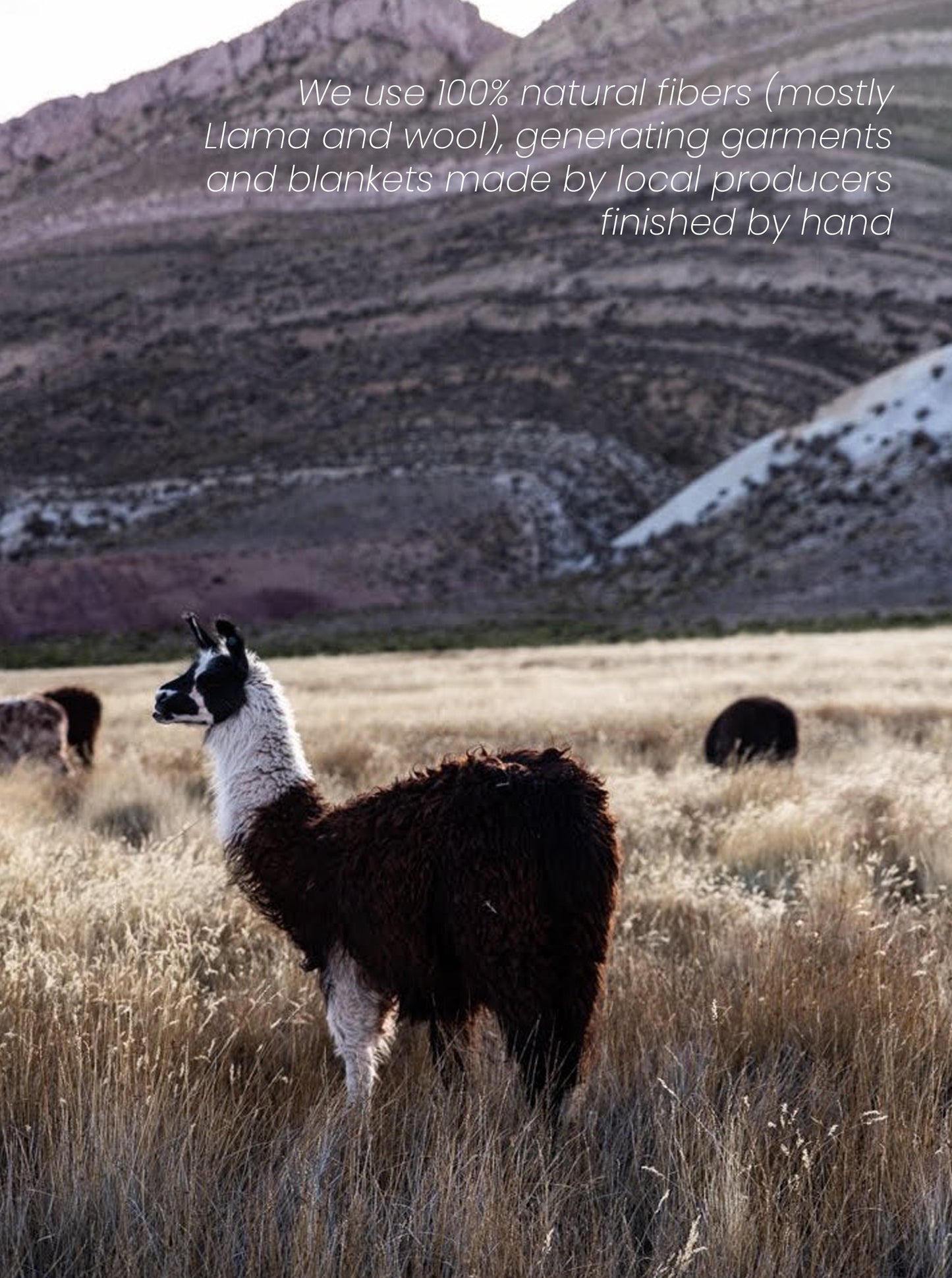 Andean Handmade Finished Ruana
